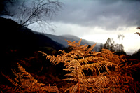 Ben Lomond