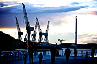 Govan Cranes